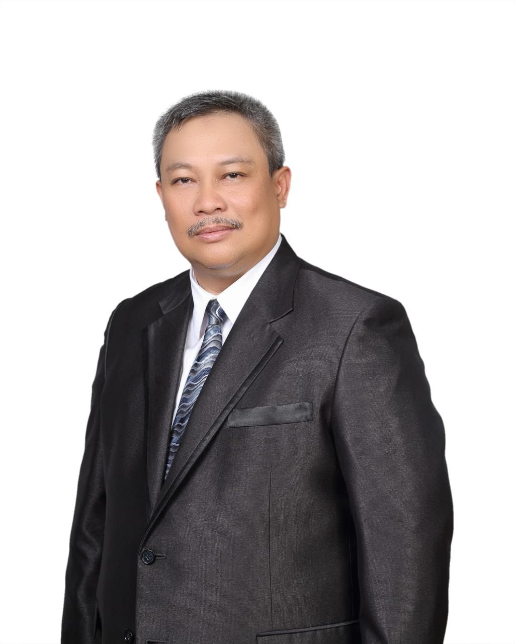 Hadi Wijaya - Komisaris Anggota